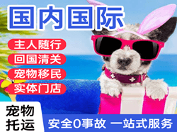 漠河航空快递国际宠物托运 【国